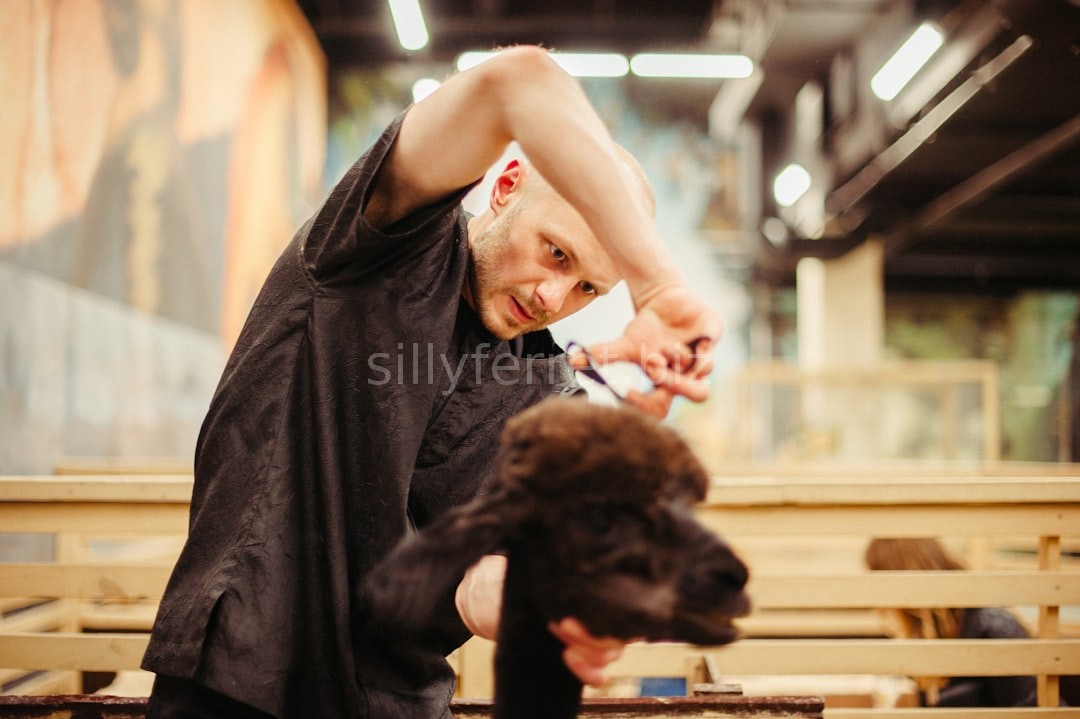 Full Grooming