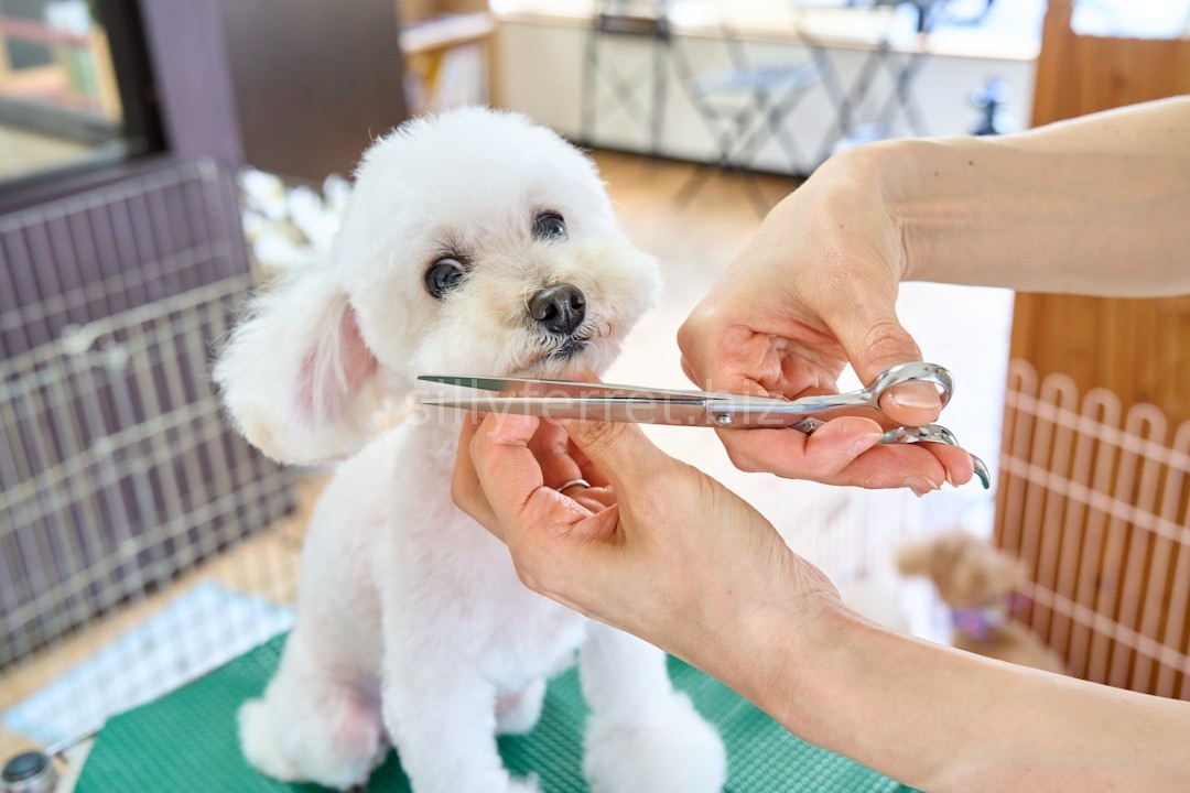 Pet Detail